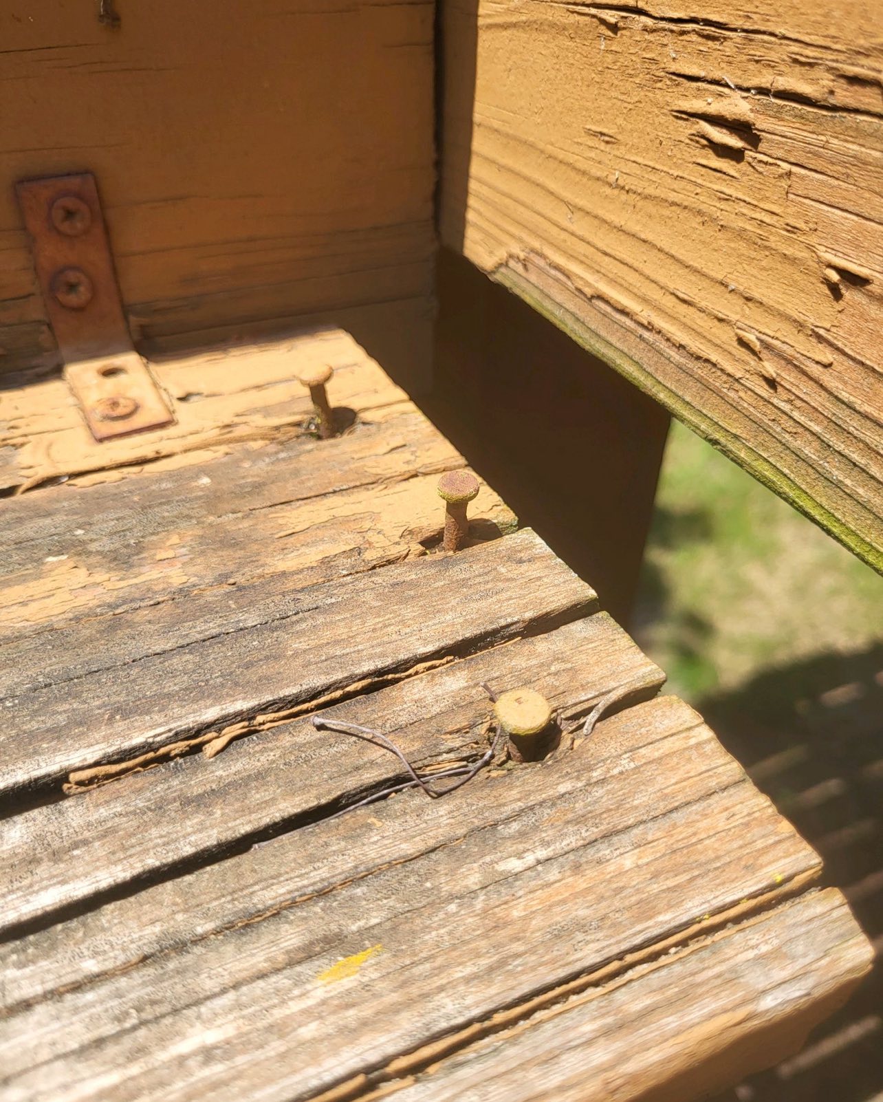 Deck fastener inspection